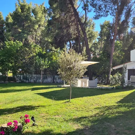 Holiday home Sani Olyvia *