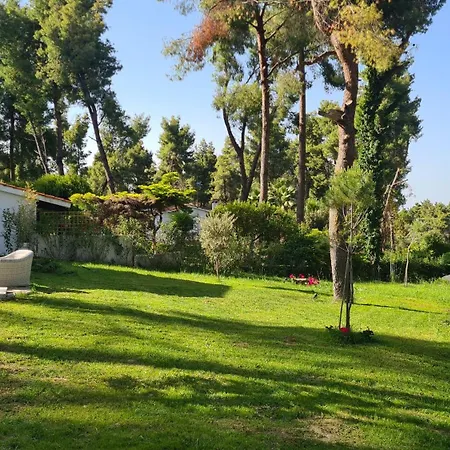 Sani Olyvia Holiday home