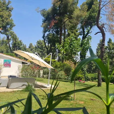 Ferienhaus Sani Olyvia Sani (Chalkidiki)