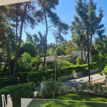 Sani Olyvia Σπίτι διακοπών Παραλία Σάνη